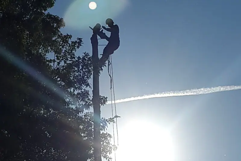 Élagueur grimpeur en progression dans un arbre, travail sur corde